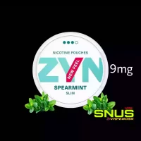 Zyn Spearmint 9mg Nicotine Pouches in Dubai, Abu Dhabi, UAE